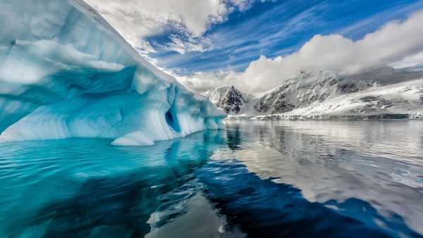 Oggi in TV: "Wildest Antarctic" - Con Rai5 (canale 23) nei ghiacci perenni