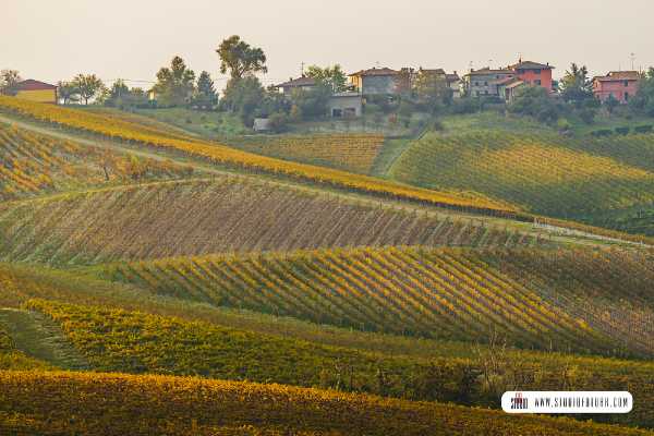 OLTREPÒ PAVESE, un territorio tutto da fotografare con l’emozione del vino
