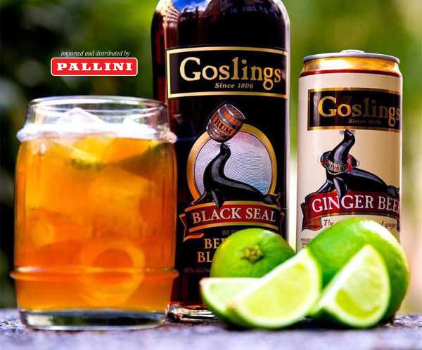 Il giro del mondo con gli spirits - Nelle ISOLE BERMUDA con GOSLINGS BLACK SEAL RUM