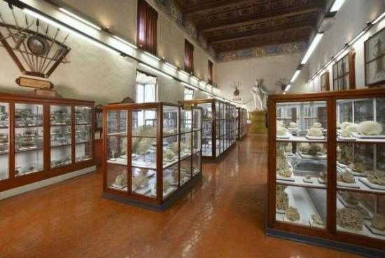 I Musei dell'Università di Parma riaprono al pubblico  i Musei dell'Università di Parma riaprono al pubblico