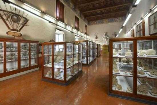 i Musei dell'Università di Parma riaprono al pubblico
