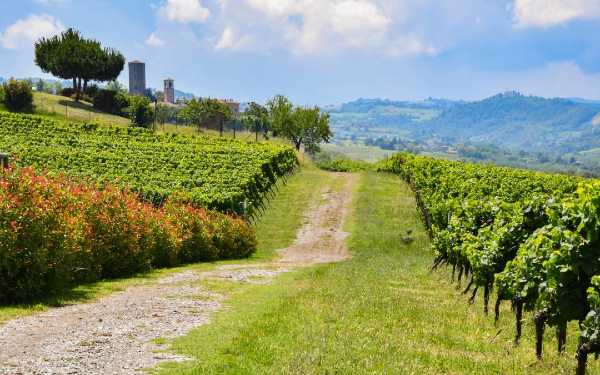 Sulla strada del grande vino d’OLTREPÒ PAVESE