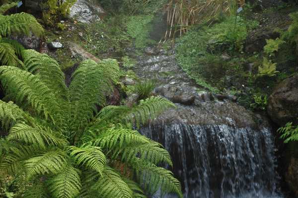 Piante undying ai Giardini di Castel Trauttmansdorff