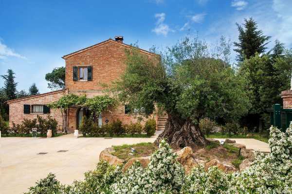 Primavera fra le vigne al Podere Casanova di Montepulciano. Rilassanti vacanze nella campagna toscana, lontano dalla folla