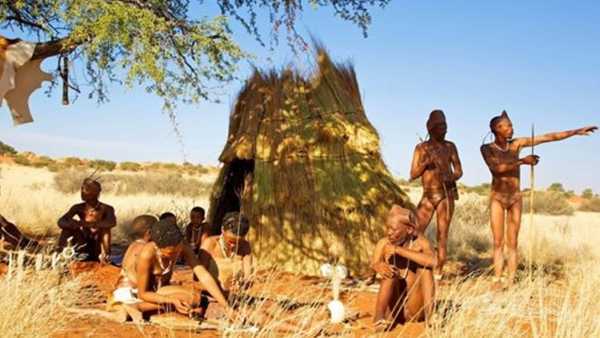 Oggi in TV: "Racconti di luce" - Viaggio nel Kalahari