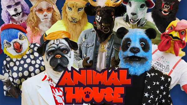 Oggi in TV: Su RaiPlay dal 20 marzo arrivano "Animal House" e "Animal School" - Un Tg irriverente sul mondo teen anche su Rai Gulp dal 29 marzo