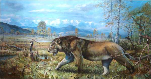 Nella Pianura padana del Pleistocene il Leone delle caverne