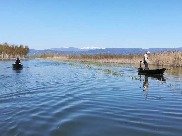 La Via Francigena lungo le aree naturalistiche del Lago di Sibolla e del Padule di Fucecchio
