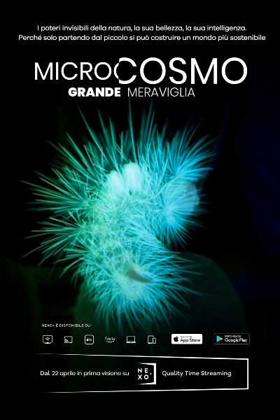 Per la Giornata Mondiale della Terra il documentario MICROCOSMO-GRANDE MERAVIGLIA su Nexo+ Per la Giornata Mondiale della Terra il documentario MICROCOSMO-GRANDE MERAVIGLIA su Nexo+ 