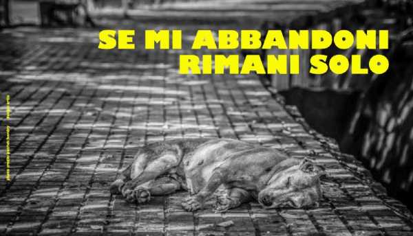 DOG FILM FESTIVAL e FNOVI lanciano la campagna SE MI ABBANDONI RIMANI SOLO