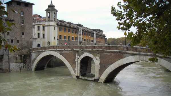Oggi in TV: Wild Italy - Su Rai5 (canale 23) i predatori del Tevere