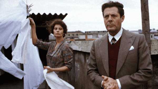 Stasera in TV: "Una giornata particolare" firmata Ettore Scola. L'omaggio di Rai5 al grande regista