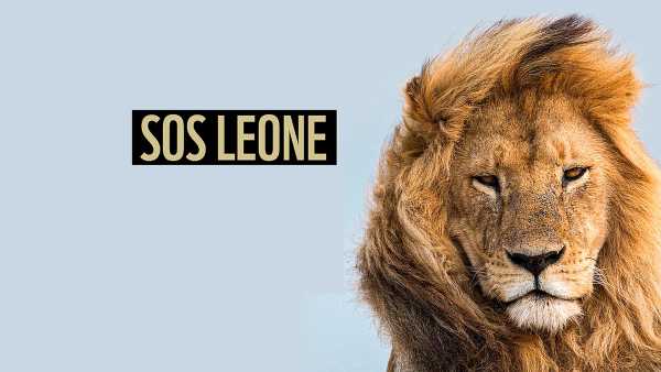 Oggi in TV: Speciale TgR per i 60 anni del WWF 60 anni da leoni