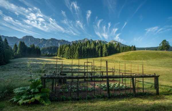 Germogliare. Semi per un nuovo modello di salute - Per 7 settimane il Festival del benessere a Mezzano di Primiero