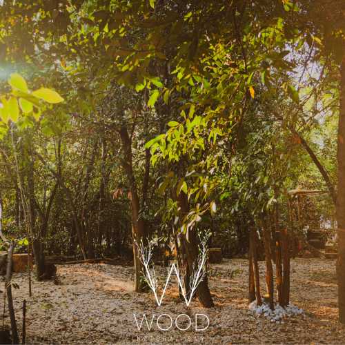 Wood Natural Bar: nel bosco il nuovo spazio-eventi della Capitale