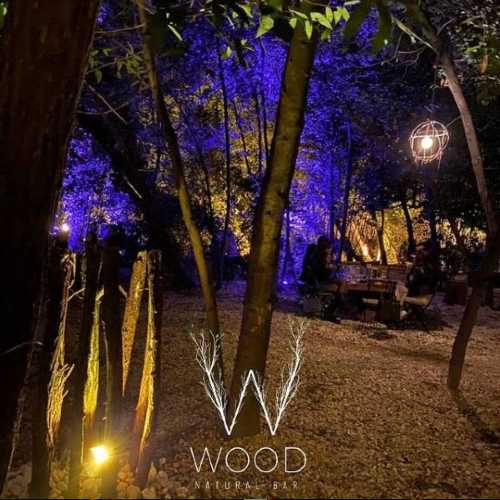 Wood Natural Music: parte il 6 giugno la rassegna musicale nel bosco con il Cinematic Quartet di Paolo Vivaldi Wood Natural Music: parte il 6 giugno la rassegna musicale nel bosco con il Cinematic Quartet di Paolo Vivaldi