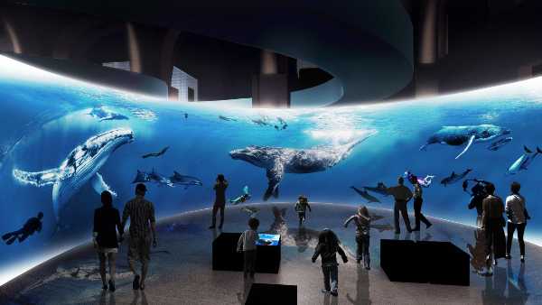 A Portoferraio un percorso emozionale tra i mammiferi marini: svelato il progetto del nuovo Centro internazionale