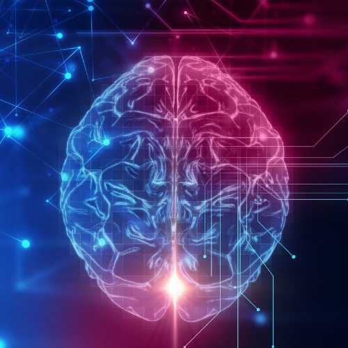 Il cervello a riposo? Ottimizza le proprie prestazioni future