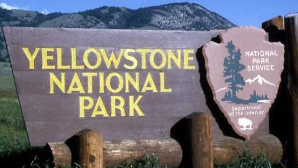 Oggi in TV: L'autunno a Yellowstone. Su Rai5 (canale 23) il ritorno del freddo
