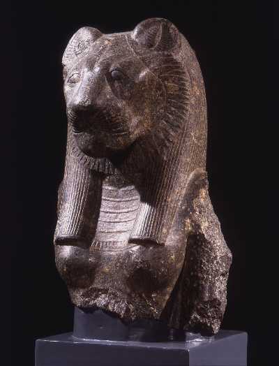 "Sekhmet, la Potente. Una leonessa in città" - Un progetto espositivo del Museo Civico Archeologico, Bologna in collaborazione con Museo Egizio, Torino