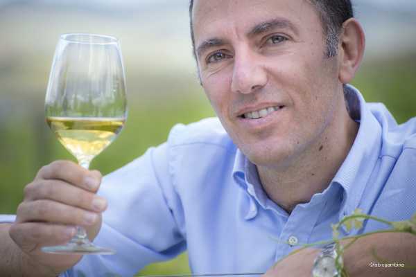 DOC Sicilia e mercato USA: Supporto alle aziende vitivinicole DOC Sicilia e mercato USA: Supporto alle aziende vitivinicole