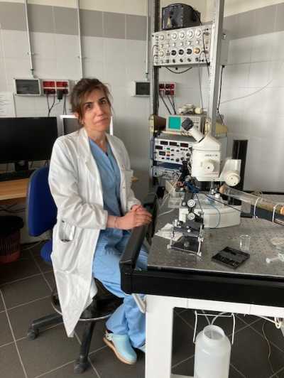 Scoperta possibile correlazione fra epilessia tardiva e demenza