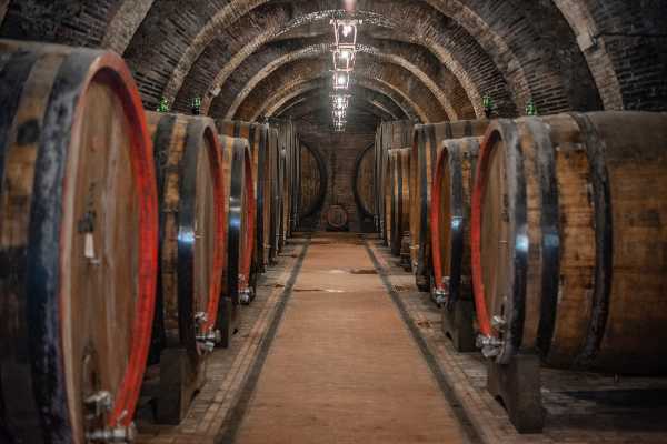 Fattoria della Talosa: dai solchi della storia, tra grotte e gallerie, un antico luogo nascosto trova la luce