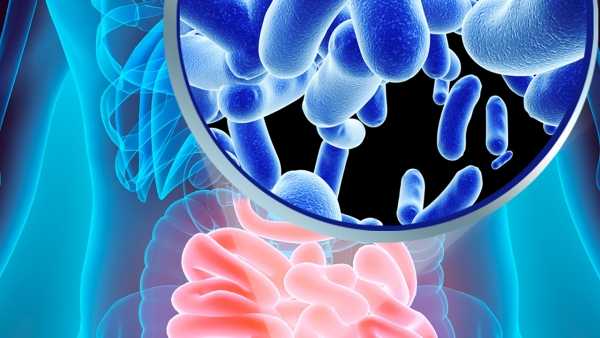 Probiotici, utili per proteggere e migliorare le funzioni cerebrali