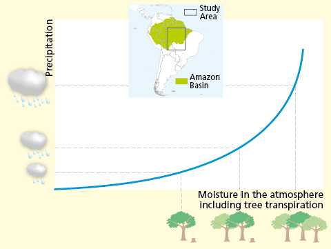 Amazzonia: la deforestazione riduce le piogge Amazzonia: la deforestazione riduce le piogge