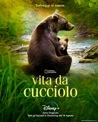 Guarda chi è in dolce attesa! Ecco il trailer ufficiale della serie originale National Geographic per Disney+ VITA DA CUCCIOLO