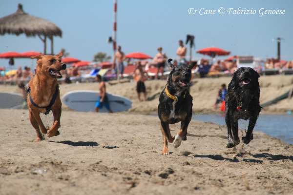 Week end di Ferragosto al Baubeach
