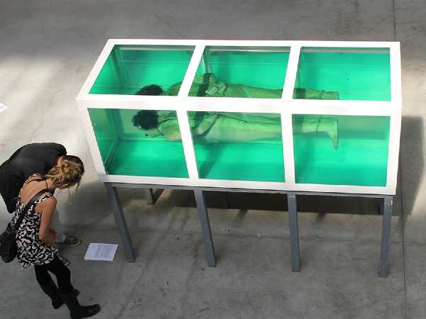 CuriosArte: “Shark” - Le realtà scomode nell'arte