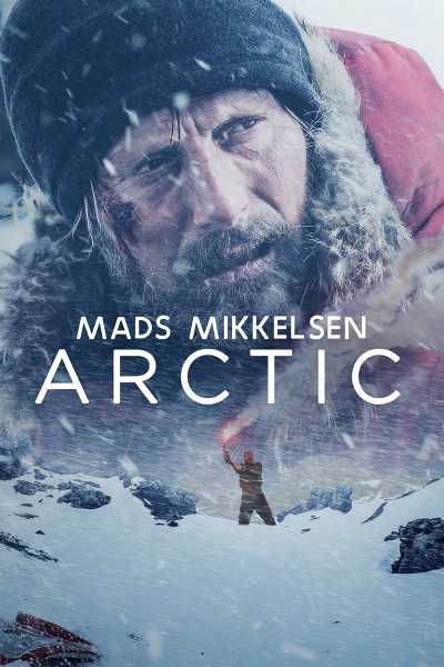 Il film del giorno: "Arctic" (su Rai 4)