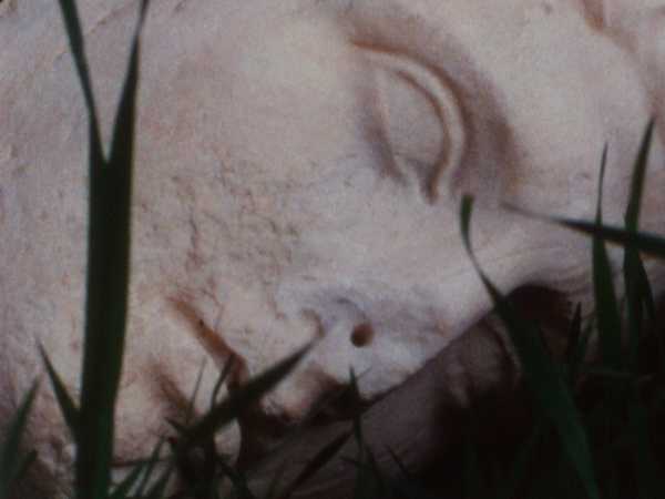 Fondazione Del Roscio. La Fondazione presenta TACITA DEAN "Sigh, Sigh, Sigh"