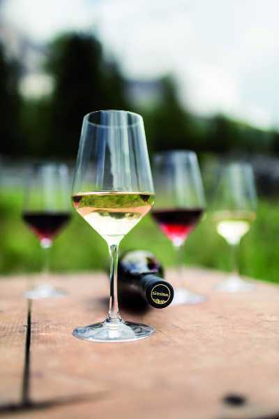 Il Consorzio Vini Alto Adige traccia un bilancio della vendemmia 2021: un’annata ambiziosa e molto promettente