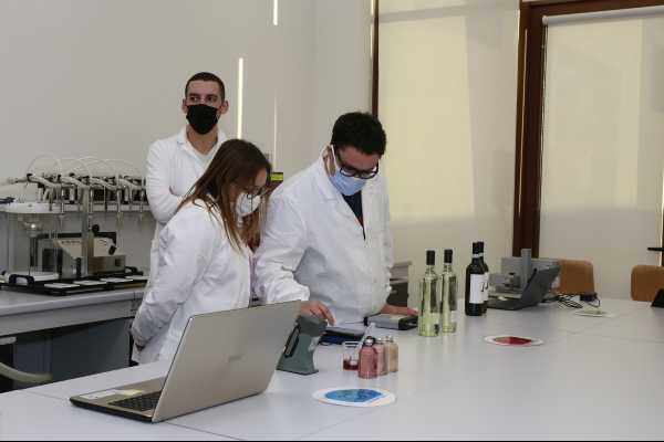 Tecnologie 4.0 dal campo alla cantina: nasce a Verona la Live Demo "Fabbrica del Vino"