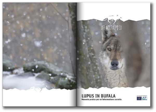 “Lupus in Bufala”: un manuale per difendersi dalle fake news sul lupo