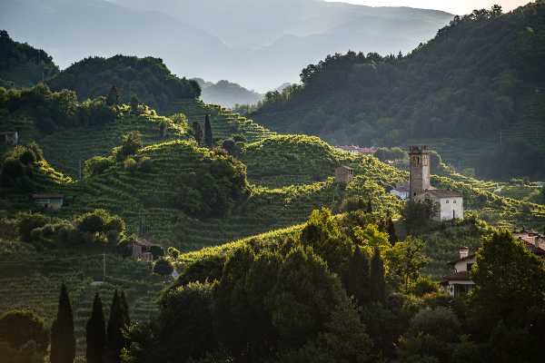 Conegliano Valdobbiadene Prosecco Superiore DOCG - Nel 2021 tagliato il traguardo dei 100 milioni di bottiglie