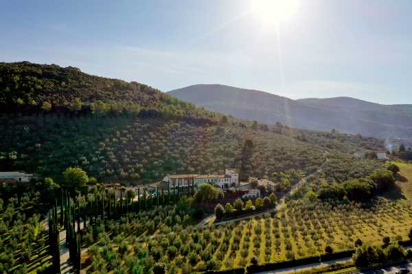 Monini porta l’Italia dell’olio extravergine d’oliva sui podi più alti al mondo