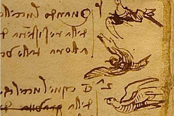 Dal Rinascimento a Giorgio Parisi, il MiC celebra il Codice sul Volo di Leonardo