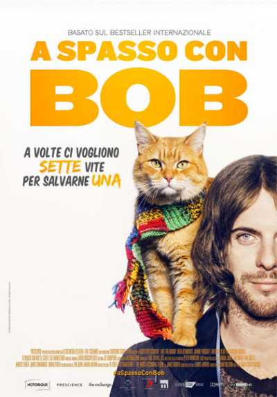 Il film del giorno: "A spasso con Bob" (su Cielo) Il film del giorno: "A spasso con Bob" (su Cielo)