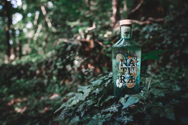 Naturæ Gin vince ai World Gin Awards