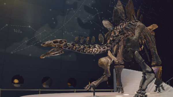 Sky Nature - da oggi "Museo di storia naturale - Un mondo di meraviglie"