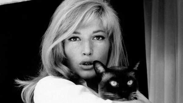 CASA DEL CINEMA - Una rassegna in omaggio a Monica Vitti