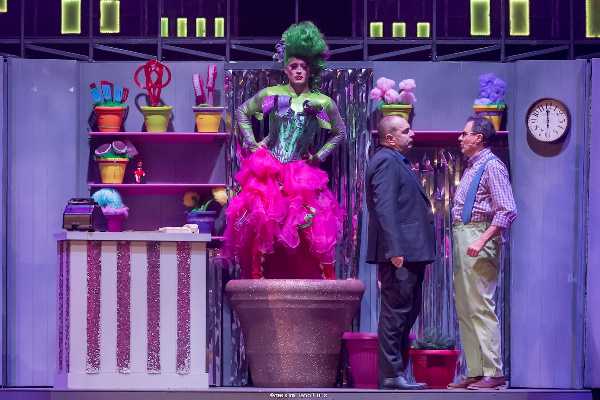 La Piccola Bottega degli orrori al Teatro Brancaccio