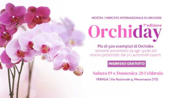 ORCHIDAY - Alla scoperta delle orchidee rare dal mondo ORCHIDAY - Alla scoperta delle orchidee rare dal mondo