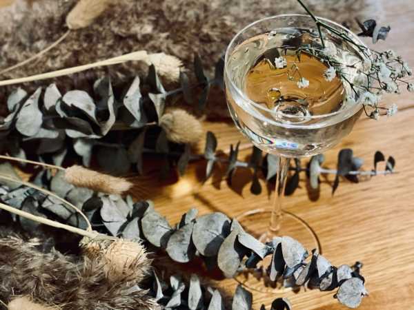 L'olio EVO esaltato in mixology, nel drink MADRE MARTINI di Sabina Yausheva, bar manager del DRY MILANO