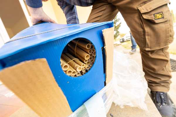 Api: un Bosco in Toscana per studiare l’interazione con l’uomo