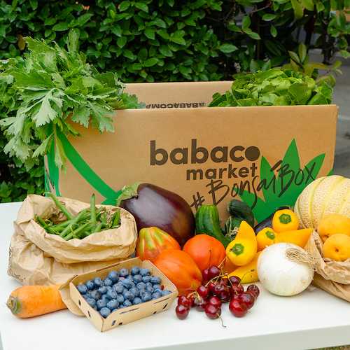 Ricerca Babaco Market - BVA-Doxa: boom di frutta e verdura per il 66% degli italiani che la consuma fresca tutti i giorni Ricerca Babaco Market - BVA-Doxa: boom di frutta e verdura per il 66% degli italiani che la consuma fresca tutti i giorni