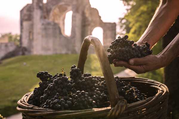 Dopo quasi sessant'anni si rinnova il legame tra i vini del Montello e Giovanni Comisso
